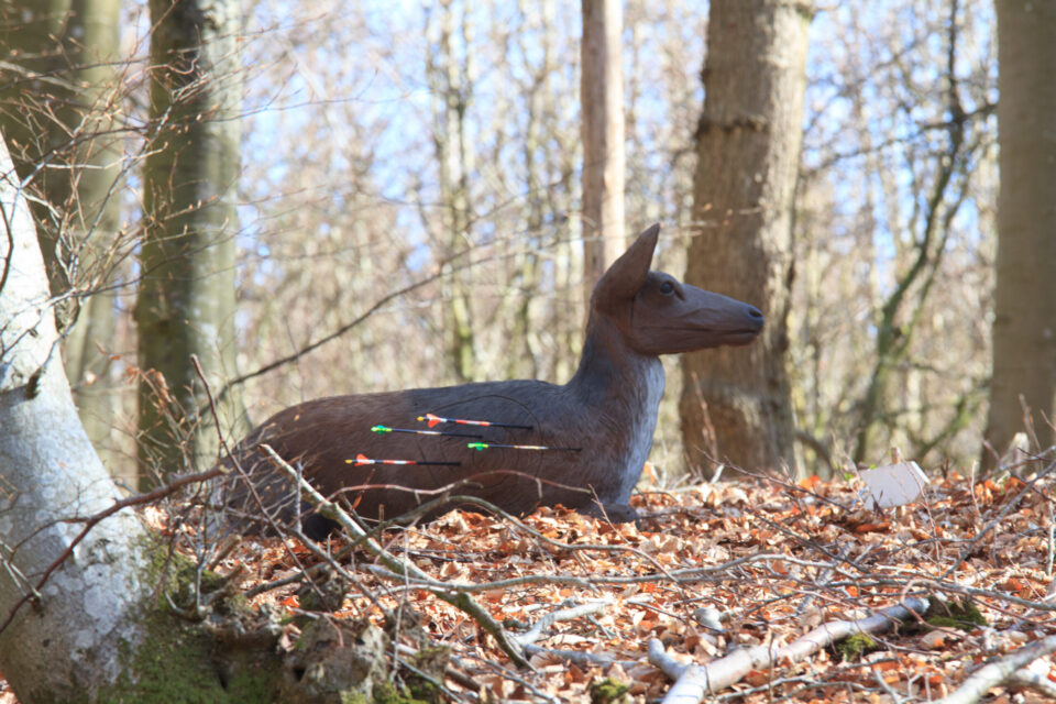 3D bueskydnings stævne