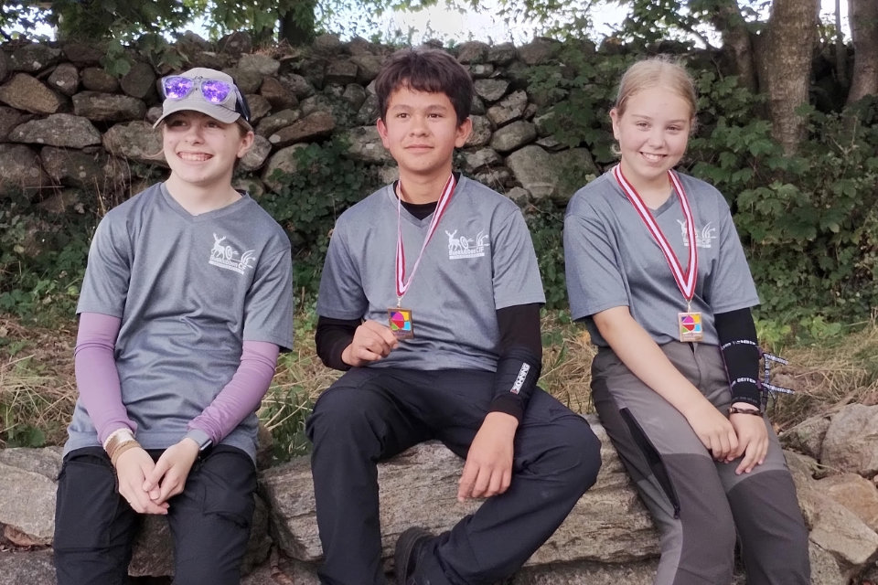 Fæstningstævne, Fredericia